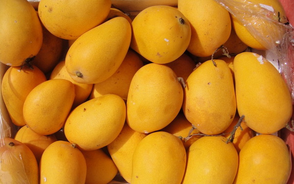 Mango