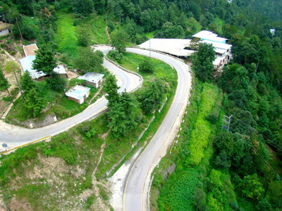 Muree